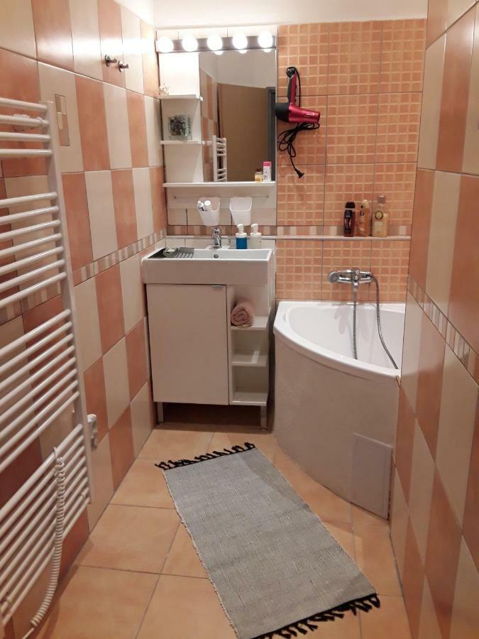 Apartman ,,Rokytka" プラハ エクステリア 写真