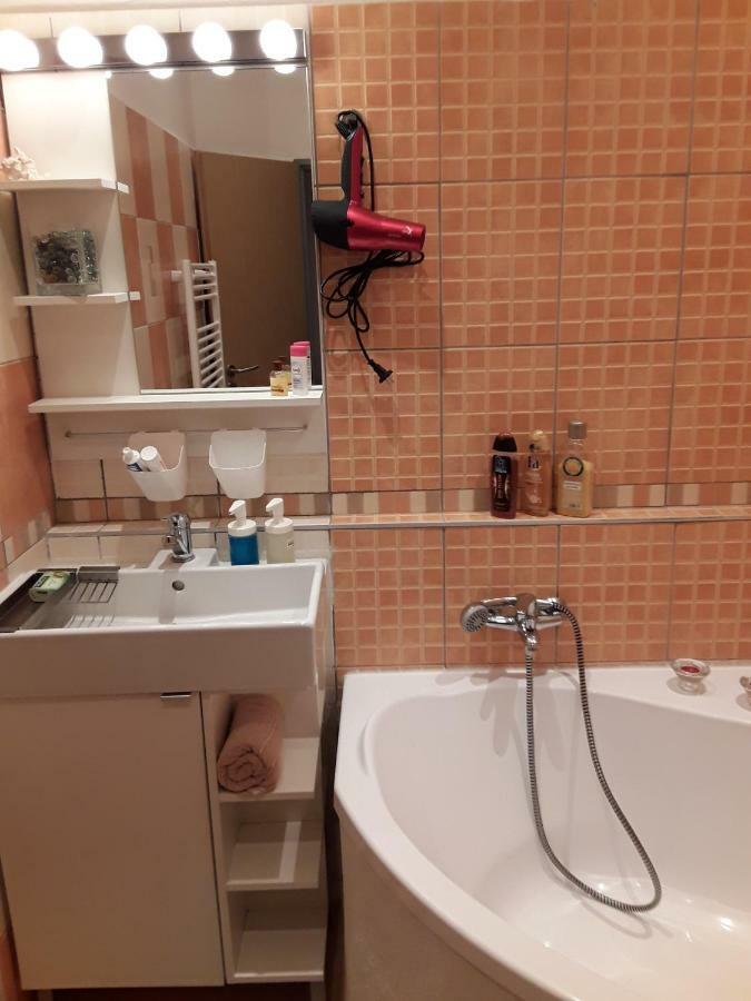 Apartman ,,Rokytka" プラハ エクステリア 写真